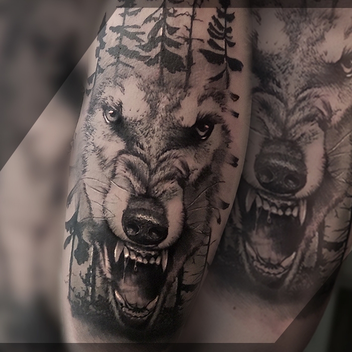 wolf